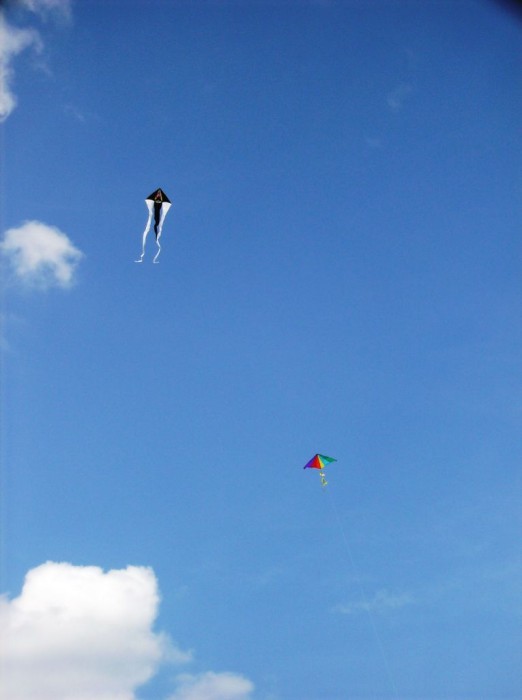 2008 KiteFestival-011.jpg